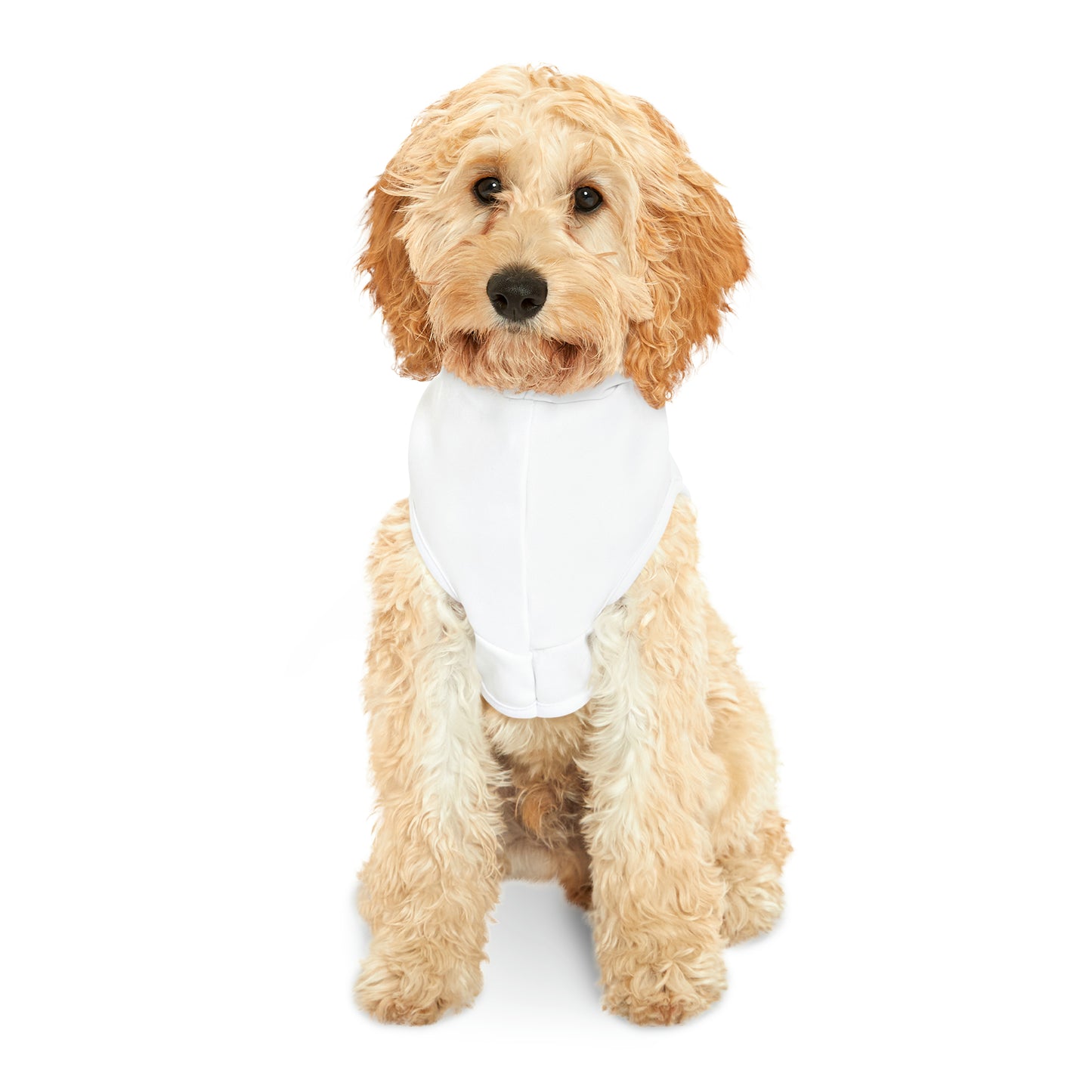 HEM Logo Pet Hoodie